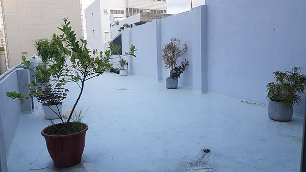 彰化獨旅，優質青旅推薦-提米好旅