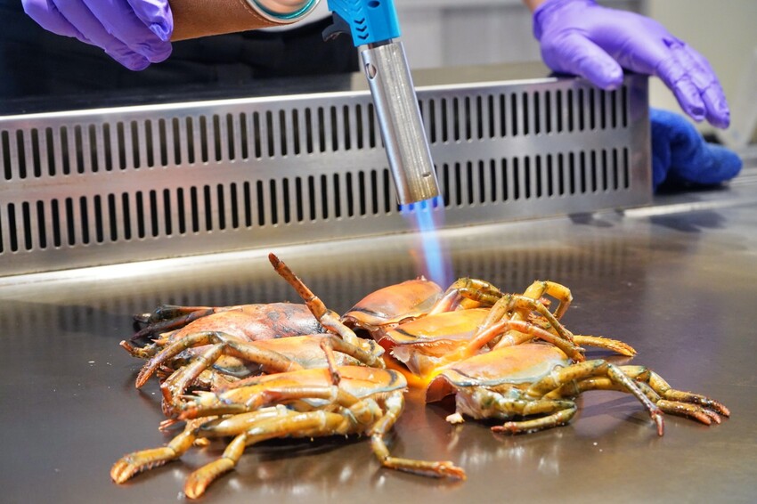 台中市東區台北一位難求無菜單鐵板燒名店，中台灣首店就在這，沒有預約吃不到！