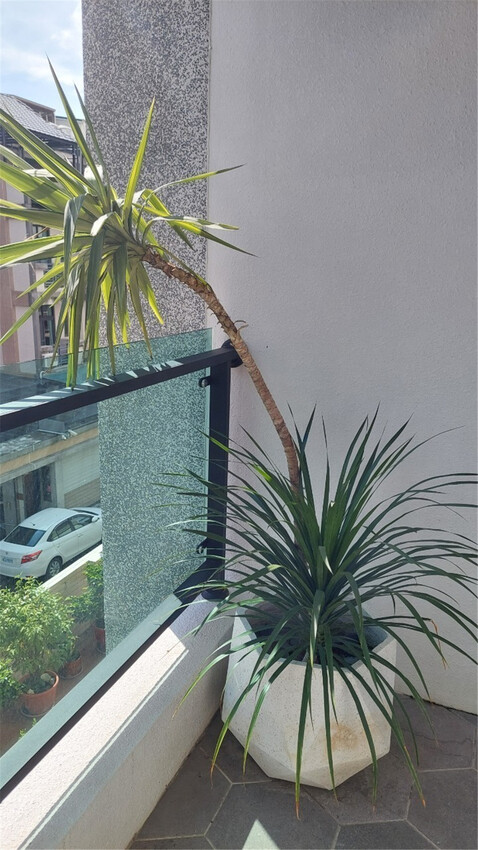 住宿｜鄰近恆春市舒適 椿了Vivir House 設計感民宿，奢侈感及設計感十足有管家的高級墾丁住宿