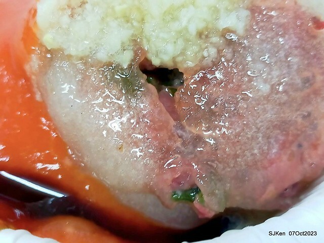 (新竹美食)「周家肉圓」(Meatball and fish ball soup), Hsinchu city, Oct 7, 2023, SJKen