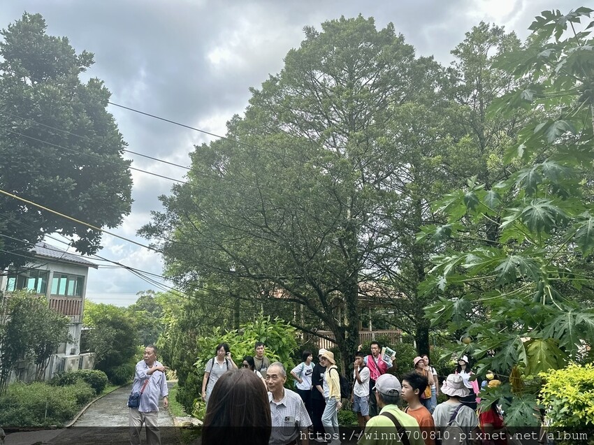 新北市新店區新北/新店 進駐於「文山農場」内,唯一一家餐廳【六堆文山新客家料理】老饕推薦的客家菜與小吃,甜湯銅板價