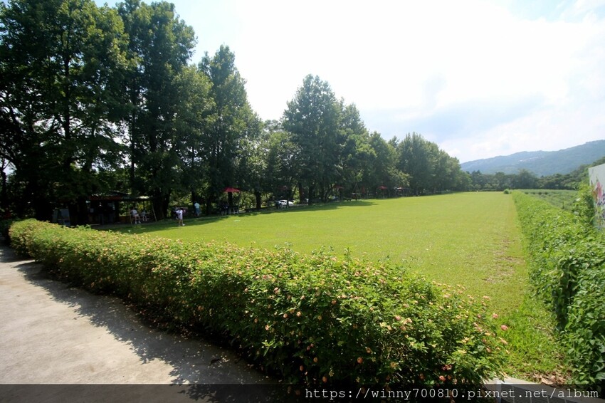 新北市新店區新北/新店 進駐於「文山農場」内,唯一一家餐廳【六堆文山新客家料理】老饕推薦的客家菜與小吃,甜湯銅板價