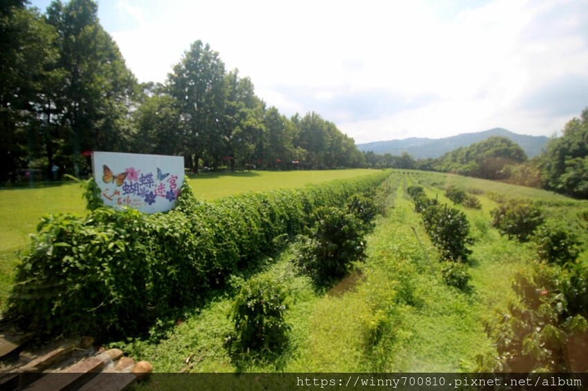 新北市新店區新北/新店 進駐於「文山農場」内,唯一一家餐廳【六堆文山新客家料理】老饕推薦的客家菜與小吃,甜湯銅板價