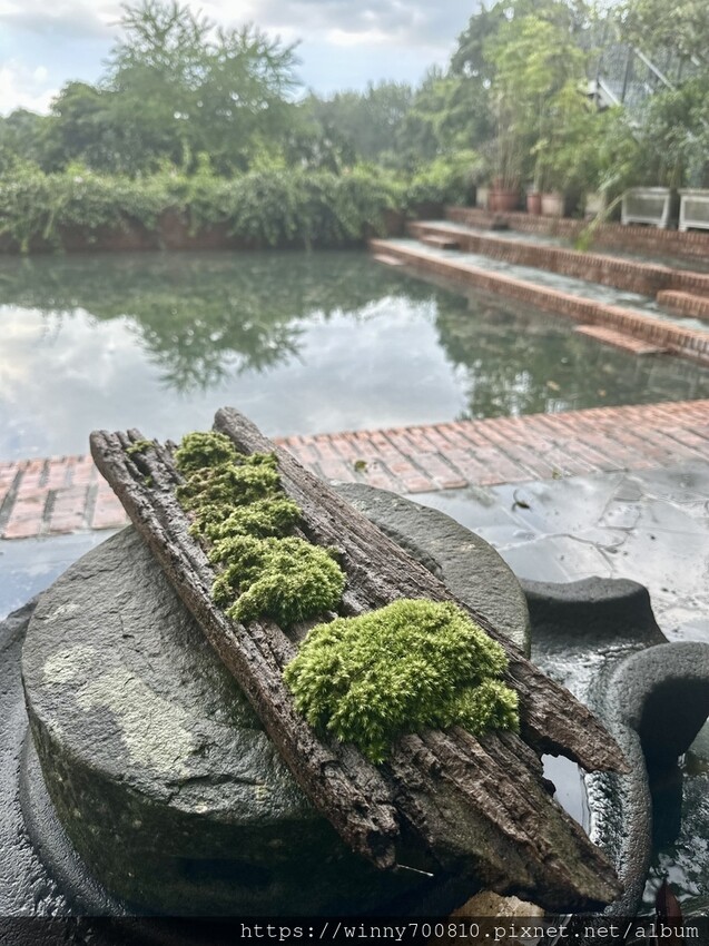 新北市新店區新北/新店 進駐於「文山農場」内,唯一一家餐廳【六堆文山新客家料理】老饕推薦的客家菜與小吃,甜湯銅板價