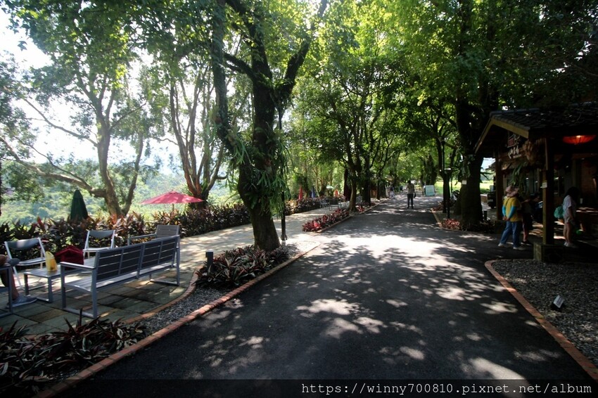 新北市新店區新北/新店 進駐於「文山農場」内,唯一一家餐廳【六堆文山新客家料理】老饕推薦的客家菜與小吃,甜湯銅板價