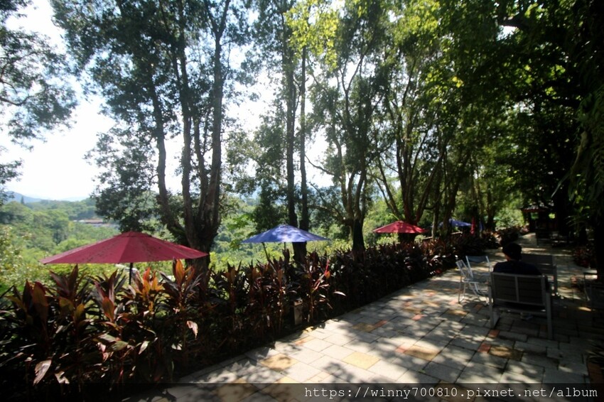 新北市新店區新北/新店 進駐於「文山農場」内,唯一一家餐廳【六堆文山新客家料理】老饕推薦的客家菜與小吃,甜湯銅板價