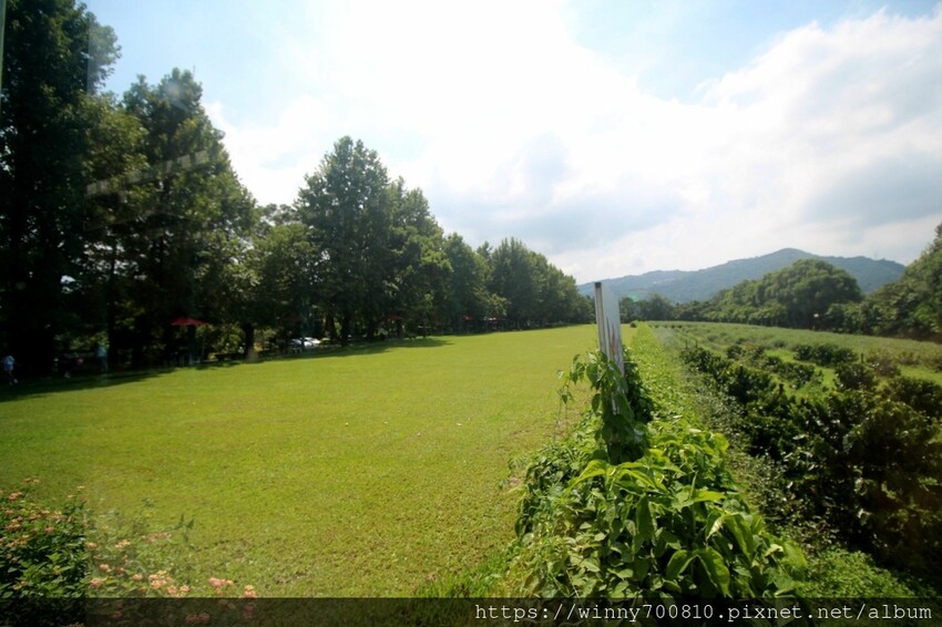 新北市新店區新北/新店 進駐於「文山農場」内,唯一一家餐廳【六堆文山新客家料理】老饕推薦的客家菜與小吃,甜湯銅板價
