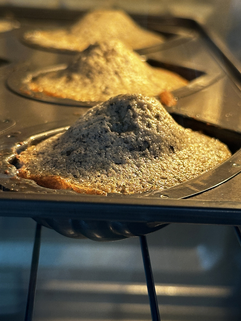 屏東伴手禮推薦｜沐上甜點：16種口味瑪德蓮蛋糕｜屏東中秋禮盒