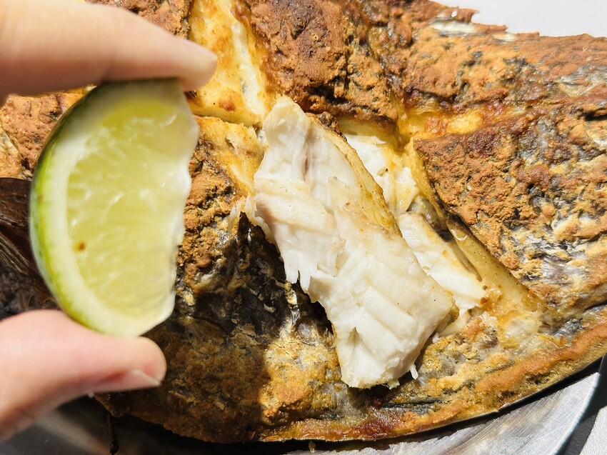 【一桶薑母鴨，一桶活蝦】春夏限定新菜單登場！蔬果龍骨鍋、活蝦