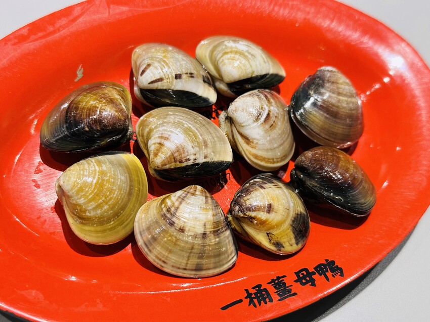 【一桶薑母鴨，一桶活蝦】春夏限定新菜單登場！蔬果龍骨鍋、活蝦