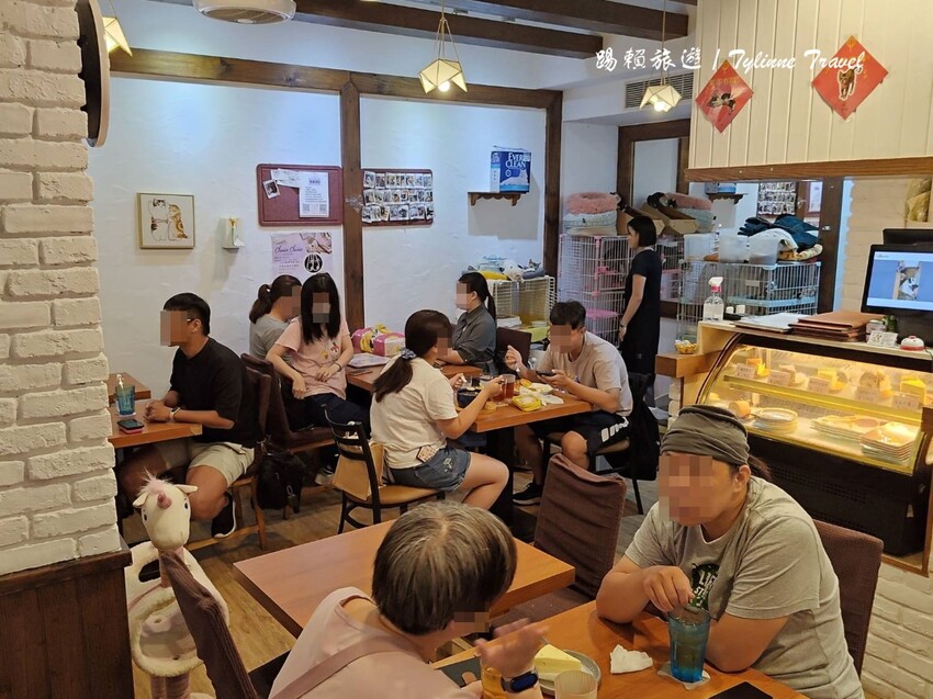 新北市板橋區【新北美食】一隅有貓,溫暖的貓咪中途餐廳 | 異國輕食咖啡廳、小貓陪伴用餐 | 可認養喜歡貓咪 | 板橋美食推薦