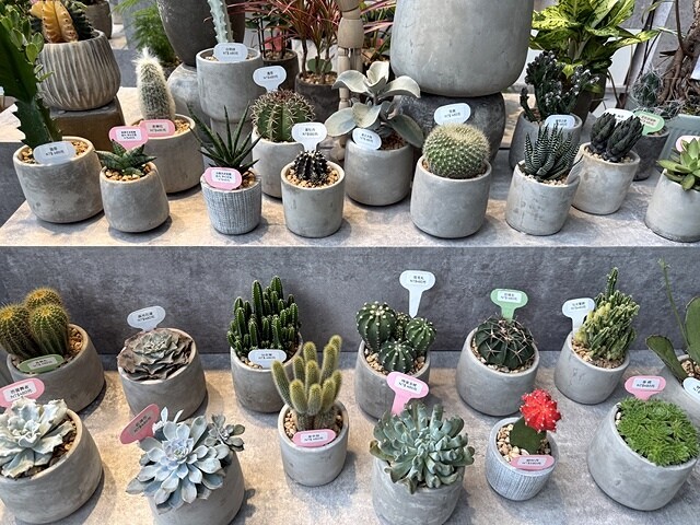 2024初魚鉄板料亭| Taipei｜初魚 鉄板料亭-宏匯廣