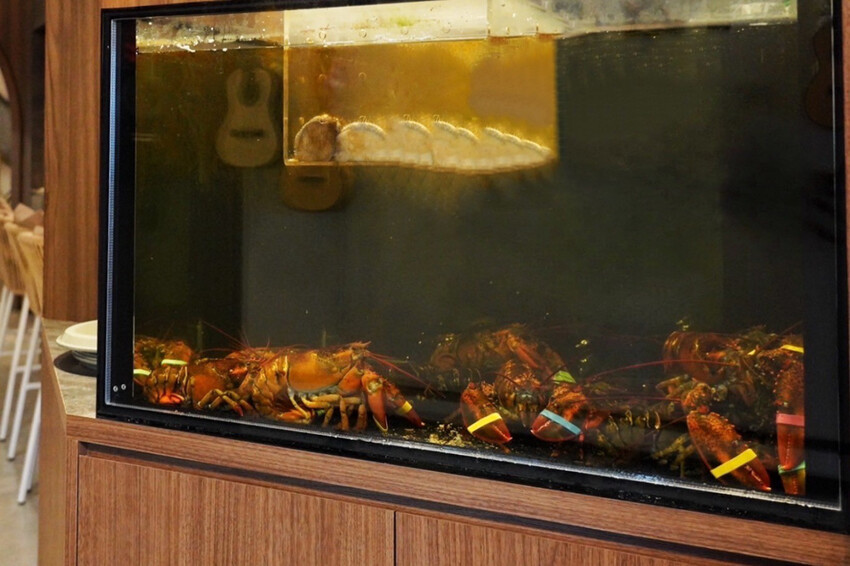 全台唯一夏威夷無菜單鐵板燒!近距離看火焰秀!整尾加拿大龍蝦都是我的~