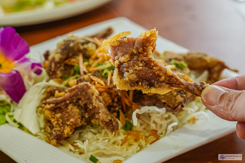 桃園龜山隱藏版！深山鐵皮屋「逗陣來土雞城」必吃自家養殖土雞，平價多人聚餐首選。