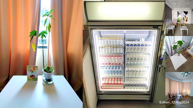 (新竹東區美食)「高北牛乳大王」新竹東門文昌店(Papaya  traditional Taiwan juice and milk shop)，Hsinchu city,  Aug 12, 2024, SJKen