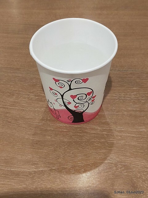 (新竹東區美食)「竹東邱記排骨酥麵-新竹店」(Crispy spareribs noodle store)Hsinchu city, Taiwan, Jun 3, 2023, SJKen