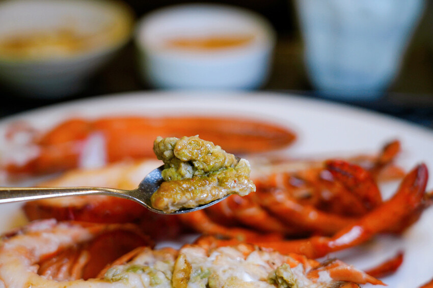 士林鐵板燒「潼鐵板燒至善店」，台北森林系鐵板燒，A5和牛搭配