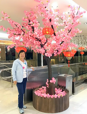 台北車站二樓 微風廣場美食【翰林茶館】相隔半世紀、三位老同學重相逢