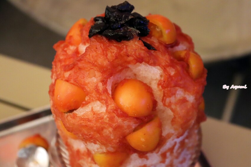 [台南寵物友善餐廳推薦]Lalatea-拉拉隊形象概念店/戶