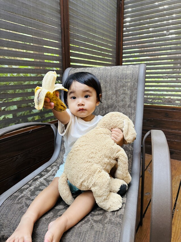 【鳳凰‧森之鳴】南投鹿谷鄉鳳凰自然教育園區，入住會呼吸的森林