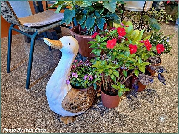 《桃園龍潭美食》龍潭石門一日遊路過的美食/美味薄皮柴燒披薩 《桃園龍潭美食》龍潭石門一日遊路過的美食/美味薄皮柴燒披薩
