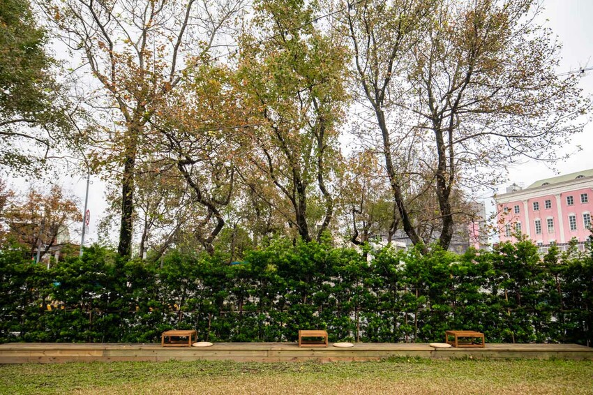 桃園龍潭隱藏版客家菜!稻吃甘鷓必點東坡肉,只有內行人才知道的客家菜。