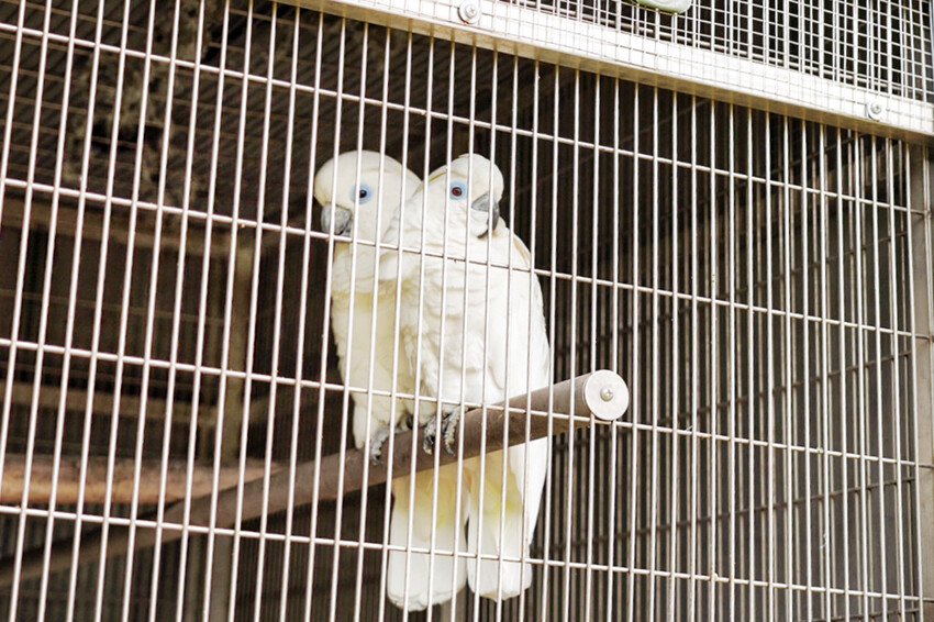 親子友善餐廳!好多客家功夫菜!內用不收服務費~