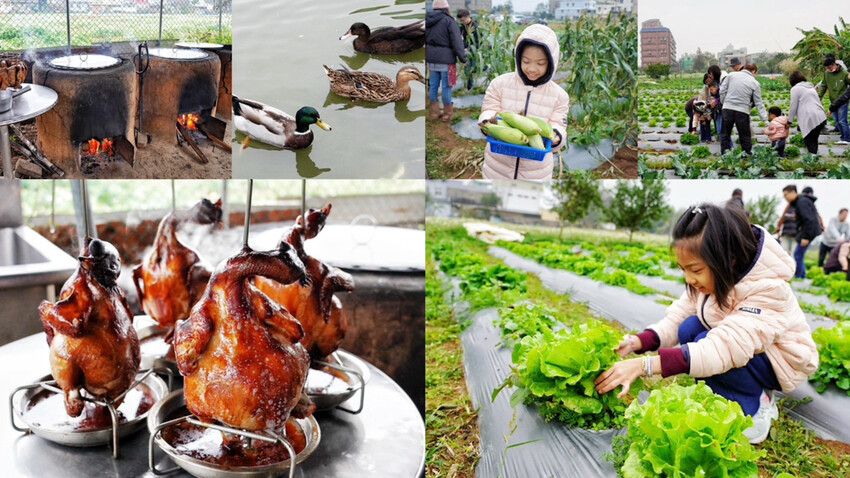 親子友善餐廳!好多客家功夫菜!內用不收服務費~