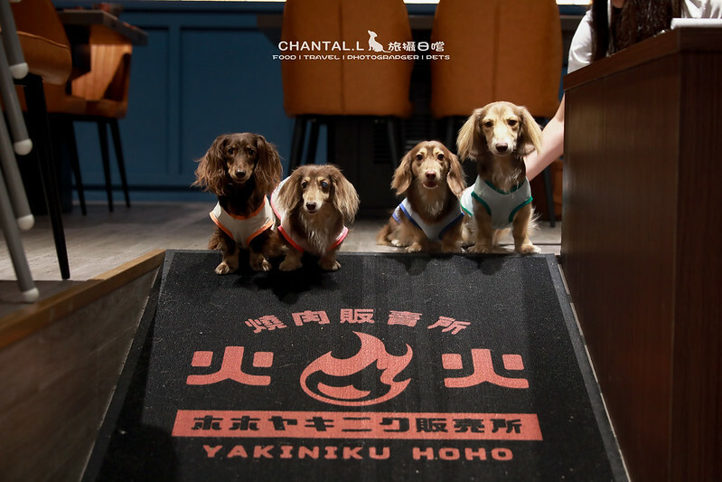 台中西屯區毛小孩友善燒肉,火火燒肉福科店,美味與溫馨兼具