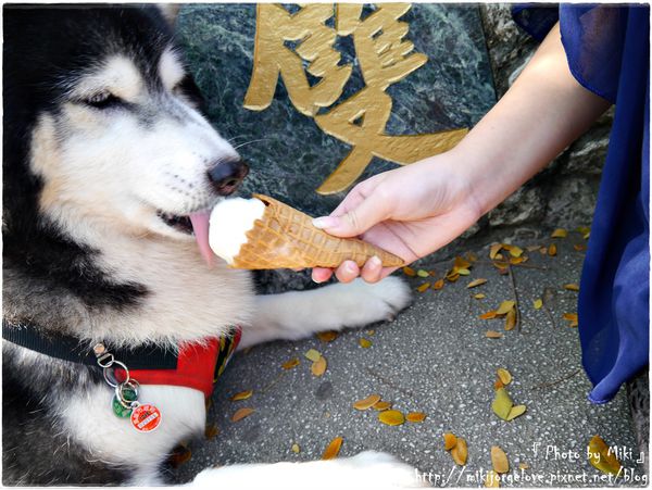 P1310636.JPG P1310636.JPG