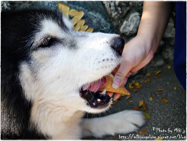 P1310632.JPG P1310632.JPG