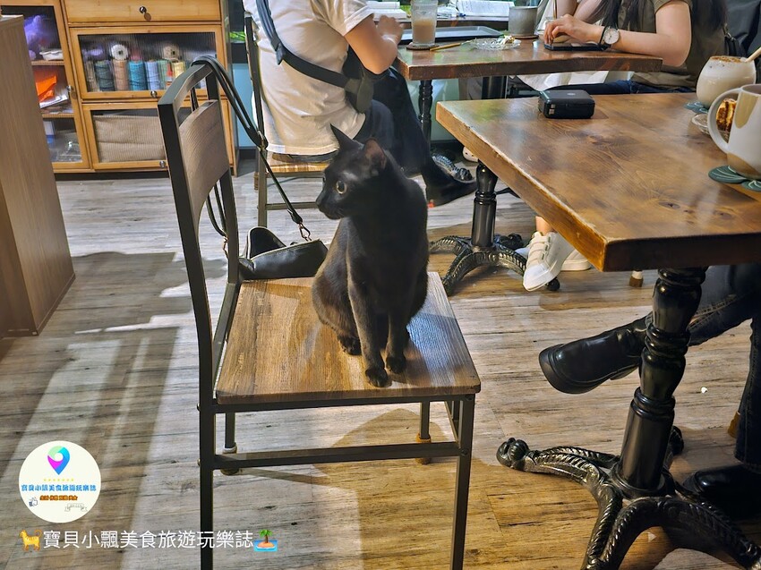 台南北區甜點必訪！貓咪友善空間『餵食三刻』，宵夜甜點、美味飲品陪你聊到深夜，讓喵星人治癒你一整天的疲憊心情！