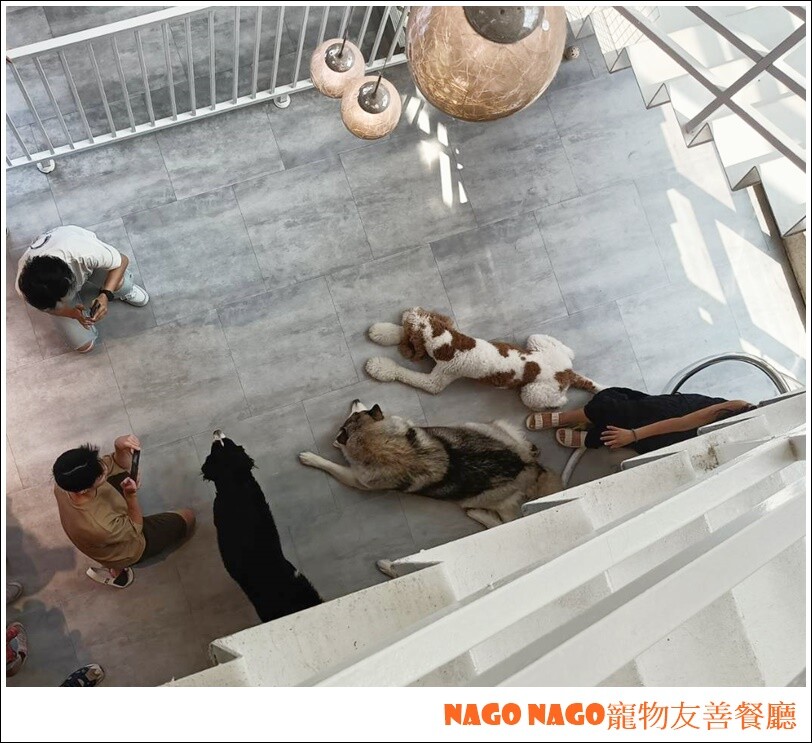 Nago Nago寵物友善餐廳|嚕嚕大型犬的好去處，狗狗控必訪寵物餐廳~~