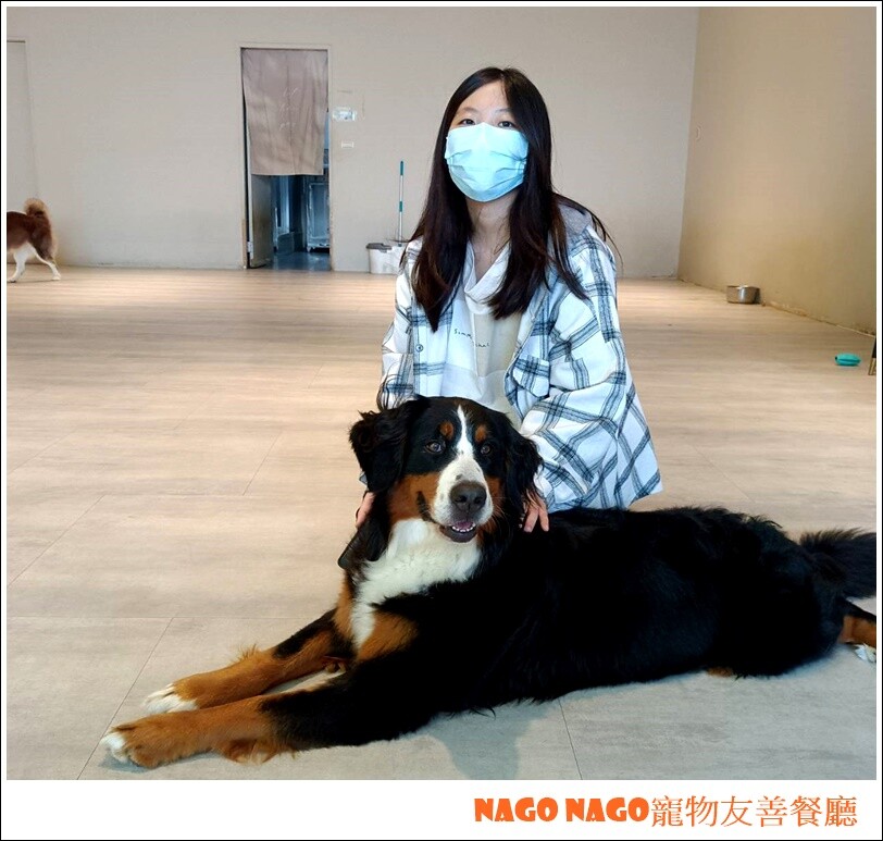 Nago Nago寵物友善餐廳|嚕嚕大型犬的好去處，狗狗控必訪寵物餐廳~~