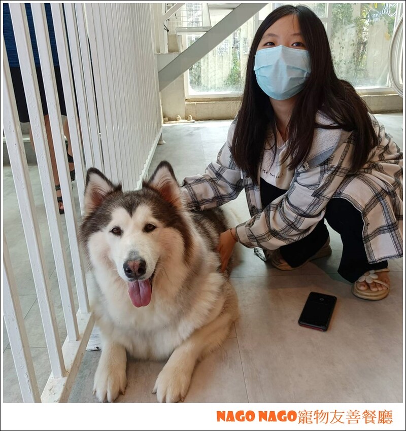 Nago Nago寵物友善餐廳|嚕嚕大型犬的好去處，狗狗控必訪寵物餐廳~~