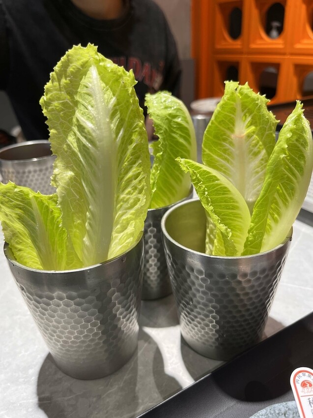 桃園新開燒肉餐廳推薦！肉民聚集所精緻個人燒肉體驗分享。