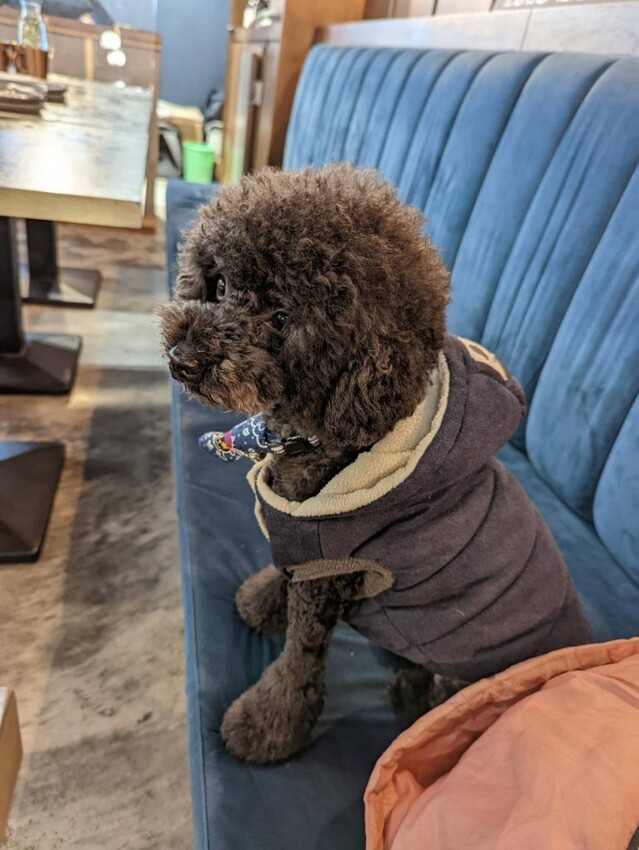 【北捷｜市政府站美食】BaganHood 蔬食餐酒館｜七訪吃不膩！是蔬食餐酒館先驅，也是天花板