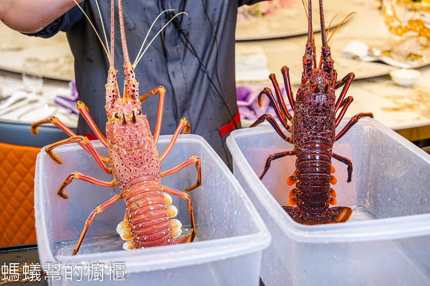 尋鮮坊 | 彰化新中菜饗宴,火烤櫻桃鴨四吃!單點精緻中菜。 - 螞蟻幫的櫥櫃