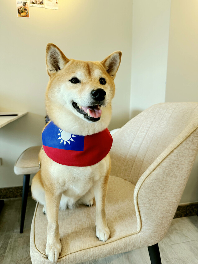 台北寵物友善餐廳｜其時Bistro〜台北草地寵物餐廳，有專屬