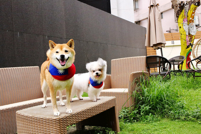 台北寵物友善餐廳｜其時Bistro〜台北草地寵物餐廳，有專屬