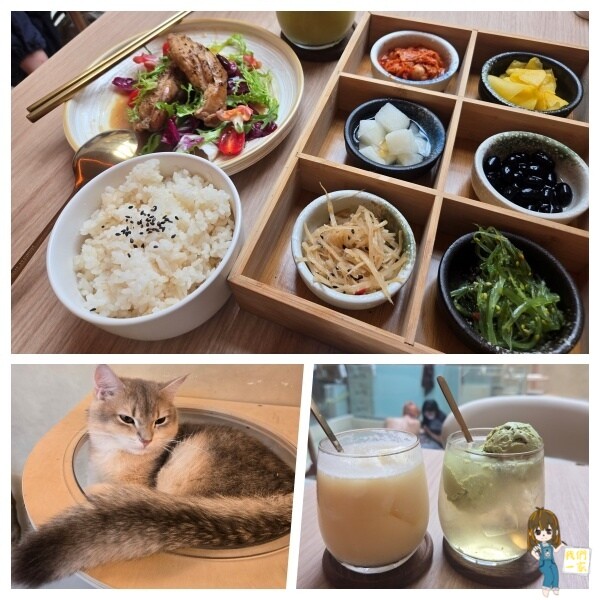 台北最萌咖啡廳！狐獴、貓咪陪吃OH MY ZOO Café，結合冰淇淋寵物友善餐廳。