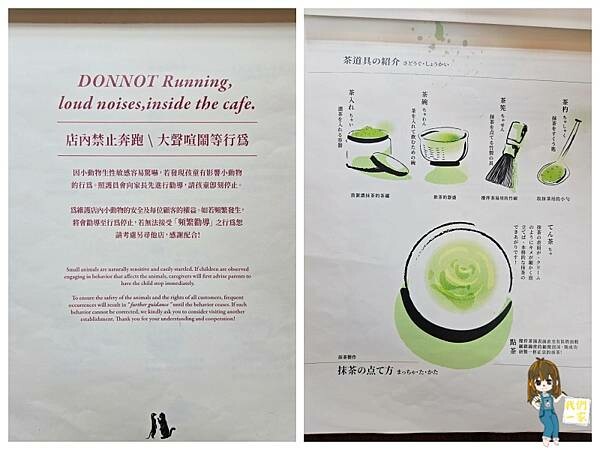 台北最萌咖啡廳！狐獴、貓咪陪吃OH MY ZOO Café，結合冰淇淋寵物友善餐廳。