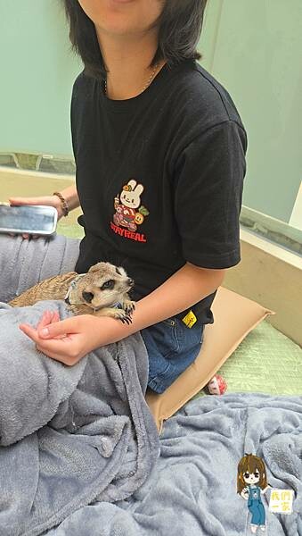 台北最萌咖啡廳！狐獴、貓咪陪吃OH MY ZOO Café，結合冰淇淋寵物友善餐廳。