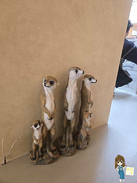 台北最萌咖啡廳！狐獴、貓咪陪吃OH MY ZOO Café，結合冰淇淋寵物友善餐廳。