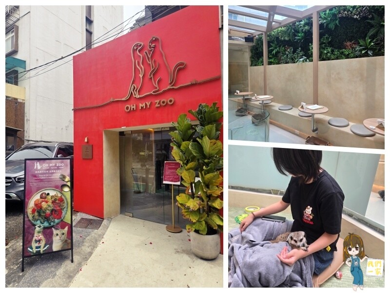 台北最萌咖啡廳！狐獴、貓咪陪吃OH MY ZOO Café，結合冰淇淋寵物友善餐廳。