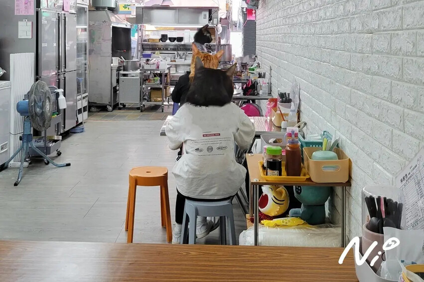 202411 桃園龍潭 神餃色-龍潭店