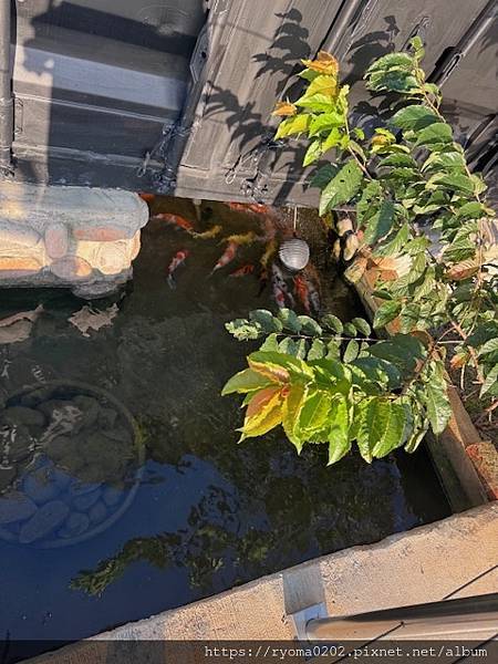 🌟【桃園乳姑山夜景餐廳必吃】見山景觀餐廳💖360°無死角夜景 🌟【桃園乳姑山夜景餐廳必吃】見山景觀餐廳💖360°無死角夜景