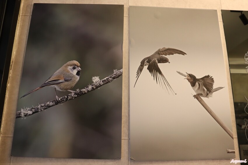 用豆花傳遞山海溫暖幸福的微笑－山海豆花寧夏店/招牌絹豆花/台