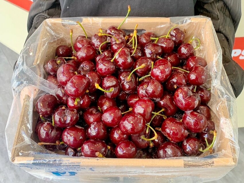 台中市西屯區Oopsip 嗚嘻｜台中最新奶蓋手搖飲專賣！超多創意奶蓋，招牌蘋果長紅直接現榨兩顆蘋果！ - 糖糖's 享食生活