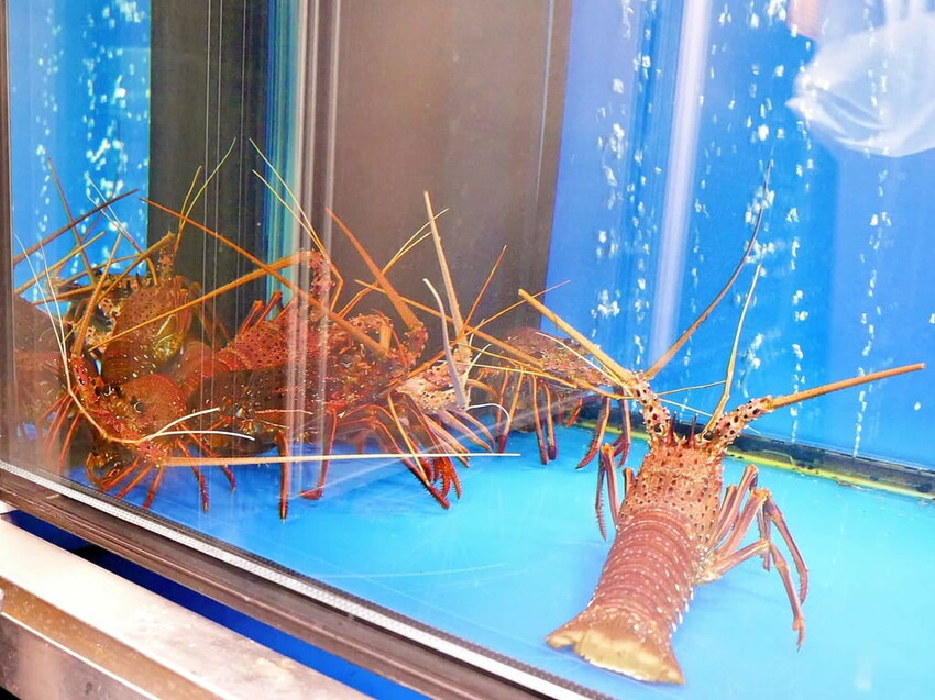 ｜台北東區 高級火鍋｜ Shabu Zen．日本A5和牛．澳